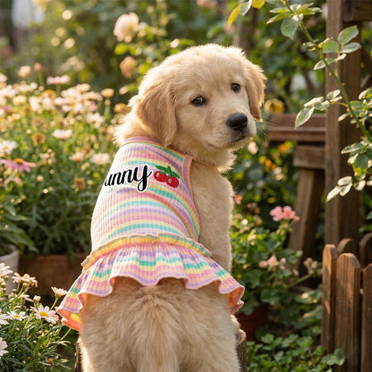 Personalisiertes Haustier-Sommerkleid mit Regenbogenstreifen | inCloth69