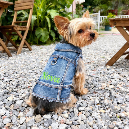 Personalisierte bestickte Haustier-Jeansweste mit Namen | inCloth63