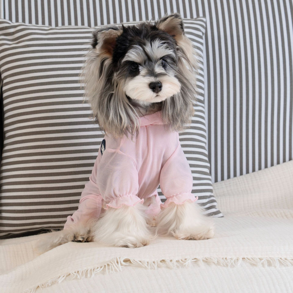 Personalized Name Pet Breathable Sun & Mosquito Guard Onesie | inCloth71